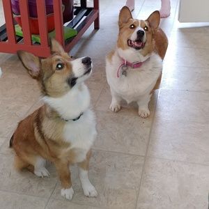 Meet your Posher, Denise